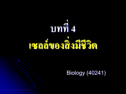 บทที่ 4 เซลล์ ของสิ่ งมีชีวติ Biology (40241)   บทที่ 4 เซลล์ ของสิ่ งมีชีวติ 4.1 เซลล์ และทฤษฎีเซลล์ 4.2 โครงสร้ างของเซลล์ ทศี่ ึกษาด้ วยกล้ องจุลทรรศน์ อเิ ล็กตรอน 4.2.1 นิวเคลียส 4.2.2