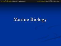 วิทยาศาสตร์ทางน้ าเบื้องต้น (Introduction to Aquatic Science)  ดร.มณฑล แก่นมณี คณะเทคโนโลยีการเกษตร | KMITL  Marine Biology   วิทยาศาสตร์ทางน้ าเบื้องต้น (Introduction to Aquatic Science)  ดร.มณฑล แก่นมณี คณะเทคโนโลยีการเกษตร | KMITL  
