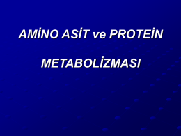 AMİNO ASİT ve PROTEİN METABOLİZMASI  Proteinlerin yapısındaki C ve H atomlarından son ürün olarak H2O ve CO2 oluşmaktadır. Ayrıca, proteinlerde %16 oranında bulunan azot,