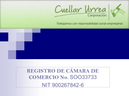 REGISTRO DE CÁMARA DE COMERCIO No. SOO33733 NIT 900267842-6   DOMICILIO Calle 13 No. 44 – 57 oficina 201 Teléfono: 8072047 Cel.