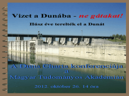 A DUNA-MOZGALOMTÓL A DUNA-STRATÉGIÁIG Fleischer Tamás MTA KRTK Világgazdasági Intézet http://www.vki.hu/~tfleisch/ tfleischer@vki.hu  „Vizet a Dunába – ne gátakat! Húsz éve terelték el a Dunát” A Duna Charta konferenciája a.