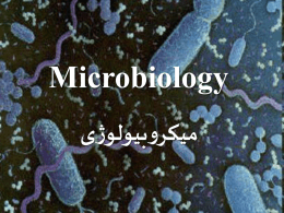 Microbiology  میکروبیولوژی    What is Microbiology? 1. Microbiology is the study of microscopic organisms such as viruses, bacteria and fungi ( called bugs and germs by some) 2.