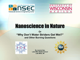 Nanoscience in Nature Or  “Why Don’t Water Striders Get Wet?” and Other Burning Questions  By Jeannie Nye Lake Mills Middle School Lake Mills, WI   So, Why Don’t.