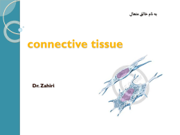  به نام خالق متعال   connective tissue  Dr. Zahiri   What's the main role of connective tissue? o o o o o o o  Mechanical support Material that connects and binds cells into tissues Binds tissues.