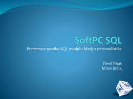 Prezentace nového SQL modulu Mzdy a personalistika  Pavel Pitaš Miloš Jirčík Požadavky, rozdíly, struktura SQL aplikace  Požadavky na aplikaci Mzdy a personalistika SQL 