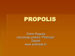 PROPOLIS Damir Rogulja Udruženje pčelara “Pčelinjak” Zagreb www.pcelinjak.hr   Propolis   Što je propolis?  Propolis po svom podrijetlu je izlučevina tkiva pupoljaka ili kore drveća i šiblja.