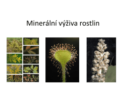 Minerální výživa rostlin Potencál vs. realizovaná produkce Minerální teorie výživy • Liebig (1840) – minerální teorie výživy rostlin, zákon minima život a.