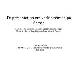 En presentation om verksamheten på Bamse Vi vill i den här presentationen kort redogöra och presentera för hur vi vill att verksamheten ska.