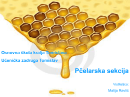 Osnovna škola kralja Tomislava Učenička zadruga Tomislav  Pčelarska sekcija Voditeljica:  Matija Ravlić Upoznajmo se!   Naša pčelarska sekcija bavi se izradom prirodnih proizvoda na bazi pčelinjeg voska, meda i propolisa.