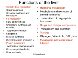 Functions of the liver • Carbohydrate metabolism • Gluconeogenesis • Glycogen synthesis and breakdown • Fat metabolism • Fatty acid synthesis • Cholesterol synthesis and excretion • lipoprotein synthesis •