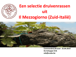 Een selectie druivenrassen uit Il Mezzogiorno (Zuid-Itali&euml;)  Commanderij Brussel 25.04.2014 De Schepper Erik eds@ecobe.be   Gemidd. inkomen  BBP  Overheidsuitgaven onderwijs  Verloren arbeidsplaatsen  Not in Education , Employment, Training   De Italiaanse wijnen &bull;  Itali&euml; is.