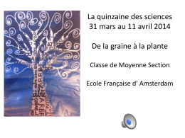 La quinzaine des sciences 31 mars au 11 avril 2014 De la graine à la plante Classe de Moyenne Section Ecole Française d' Amsterdam   Au.