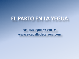 EL PARTO EN LA YEGUA DR. ENRIQUE CASTILLO www.elcaballodecarrera.com Una vez la yegua es servida se produce la fertilización del ovulo por.