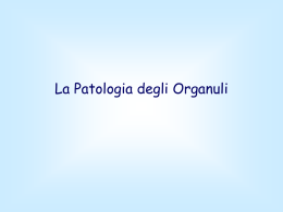 La Patologia degli Organuli Patologia degli organuli • Patologia della plasmamembrana • Patologia dei mitocondri • Patologia del reticolo endoplasmatico ed apparato del Golgi •