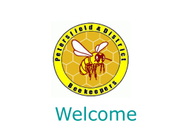 Welcome   Introduction Brief Outlines  about bees and what is involved in being a  ‘beekeeper’   What is a honey bee?  It isn’t a Bumble bee   and it isn’t a.