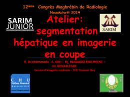 12ième Congrès Maghrébin de Radiologie Nouakchott 2014  Atelier: segmentation hépatique en imagerie en coupe R. Benhammada - S.