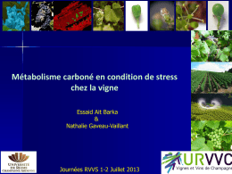 Métabolisme carboné en condition de stress chez la vigne Essaid Ait Barka & Nathalie Gaveau-Vaillant  Journées RVVS 1-2 Juillet 2013   Elicitation & Lutte Biologique Stress Biotique (agent pathogènes,…)  Stress.