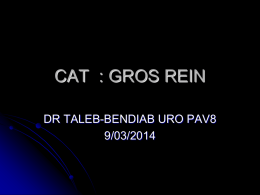 CAT : GROS REIN DR TALEB-BENDIAB URO PAV8 9/03/2014 I-GENERALITES Découvert cliniquement  Ex compl 