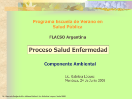 Programa Escuela de Verano en Salud Pública FLACSO Argentina  Proceso Salud Enfermedad Componente Ambiental Lic.