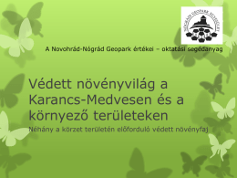 A Novohrád-Nógrád Geopark értékei – oktatási segédanyag  Védett növényvilág a Karancs-Medvesen és a környező területeken Néhány a körzet területén előforduló védett növényfaj.