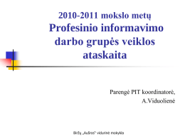 2010-2011 mokslo metų  Profesinio informavimo darbo grupės veiklos ataskaita Parengė PIT koordinatorė, A.Viduolienė  Biržų „Aušros“ vidurinė mokykla.