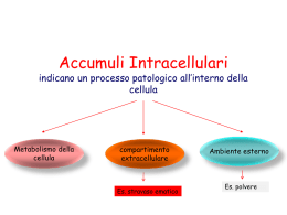 Accumuli Intracellulari  indicano un processo patologico all’interno della cellula  Metabolismo della cellula  compartimento extracellulare  Es. stravaso ematico  Ambiente esterno  Es.