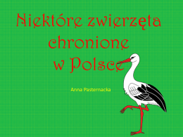 Niektóre zwierzęta chronione w Polsce Anna Pasternacka czarny  biały Niektóre zwierzęta są pod ochroną ponieważ : 1.