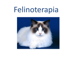 Felinoterapia Felinoterapia to- najprościej mówiącterapia z udziałem kota. Nazwa wywodzi się z łacińskiego słowa felis ( kot ) oraz greckiego therapeia ( opieka,