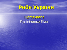 Риби України Підготувала Кулініченко Ліза Риби України У водах України живе близько 1400 видів риб, з них прісноводних – 500 видів.