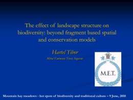 The effect of landscape structure on biodiversity: beyond fragment based spatial and conservation models  Hartel Tibor Mihai Eminescu Trust, Segesvár  Mountain hay meadows - hot.