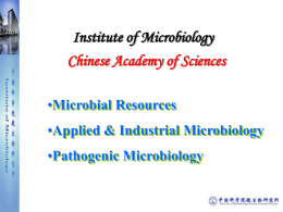 Institute of Microbiology Chinese Academy of Sciences •Microbial Resources •Applied & Industrial Microbiology •Pathogenic Microbiology   Advisory Committee Academic Committee  International Advisory Panel  Academic Degree Committee  National Advisory Panel  Development Committee  Center.