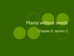 Plants without seeds Chapter 8, section 2 Key concepts What characteristics do the three groups of nonvascular plants share What characteristics do the three.