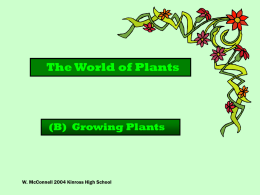 The World of Plants  (B) Growing Plants  W. McConnell 2004 Kinross High School   1.  Give the function of the following parts of a seed  Seed coat  protection  Embryo.