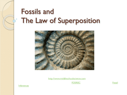 Fossils and The Law of Superposition  Liz LaRosa 5th Grade Science http://www.middleschoolscience.com 2009 This PPT was created with the information from the FOSREC.
