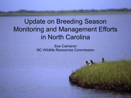 Update on Breeding Season Monitoring and Management Efforts in North Carolina Sue Cameron NC Wildlife Resources Commission   Overview • State listed as significantly rare and proposed.