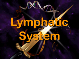 Lymphatic System Lymphatic System The lymphatic system is a complex network of connective tissue that is composed of: • Lymphoid organs • Lymph nodes • Lymph ducts •