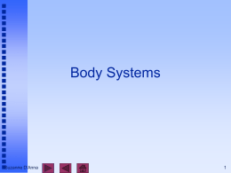 Body Systems  Suzanne D'Anna   Body Systems integumentary  skeletal  muscular  nervous  endocrine  cardiovascular   Suzanne D'Anna  lymphatic and immune  respiratory  digestive  urinary  reproductive    Integumentary skin and structures such as.