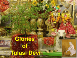 Glories of Tulasi Devi  www.gokulbhajan.com  Gokul Bhajan & Vedic Studies www.gokulbhajan.com  Important Note: From this Saturday, it is going under Gokul Bhajan & Vedic Studies 45 deg..