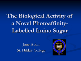 The Biological Activity of a Novel PhotoaffinityLabelled Imino Sugar Jane Atkin St. Hilda’s College.