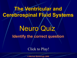The Ventricular and Cerebrospinal Fluid Systems  Neuro Quiz Identify the correct question Click to Play!  Michael McKeough 2008
