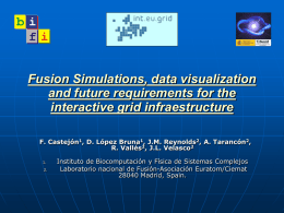 Fusion Simulations, data visualization and future requirements for the interactive grid infraestructure F.