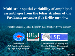 Multi-scale spatial variability of amphipod assemblages from the foliar stratum of the Posidonia oceanica (L.) Delile meadow Nicolas Sturaro1, Gilles Lepoint1, Loïc Michel2,