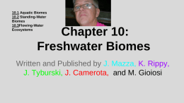 10.1 Aquatic Biomes 10.2 Standing-Water Biomes 10.3Flowing-Water Ecosystems  Chapter 10: Freshwater Biomes  Written and Published by J.