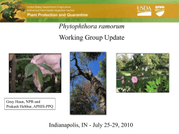 United States Department of Agriculture Animal and Plant Health Inspection Service  Plant Protection and Quarantine  Phytophthora ramorum  Working Group Update  Gray Haun, NPB and Prakash Hebbar,
