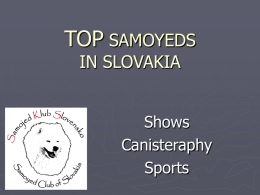 TOP SAMOYEDS IN SLOVAKIA  Shows Canisteraphy Sports Ch. Fred Kartuš ► Junior  Champion, Champion SK, Multiple BISS, BIS, Club Winner.