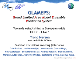 GLAMEPS: Grand Limited Area Model Ensemble Prediction System Towards establishing a European-wide TIGGE – LAM ?  Trond Iversen met.no & Univ.