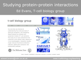 Studying protein-protein interactions Ed Evans, T-cell biology group  edward.evans@ndm.ox.ac.uk  www.t-cellbiology.org/teaching Studying Protein-Protein Interactions A.