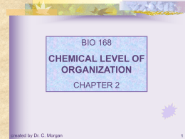 BIO 168  CHEMICAL LEVEL OF ORGANIZATION CHAPTER 2  created by Dr. C. Morgan   TOPICS Introduction Atoms, Molecules, and Bonds Chemical Notation Chemical Reactions Inorganic Compounds Organic Compounds Chemicals and Living Cells   Introduction Objectives  Discuss.