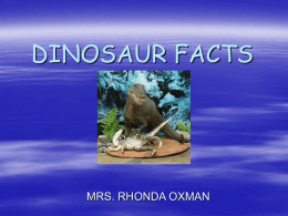 DINOSAUR FACTS  MRS. RHONDA OXMAN   Dinosaurs  THE AGE OF THE DINOSAUR IS KNOWN AS THE MESOZOIC ERA  THIS ERA LASTED ABOUT 180 MILLION YEARS 