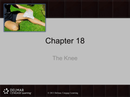 Chapter 18 The Knee  ©©2011 Delmar, Cengage LearningDelmar, Cengage Learning   Objectives Upon completion of this chapter, you should be able to: Describe the functions of the knee Describe the ligament structure of.